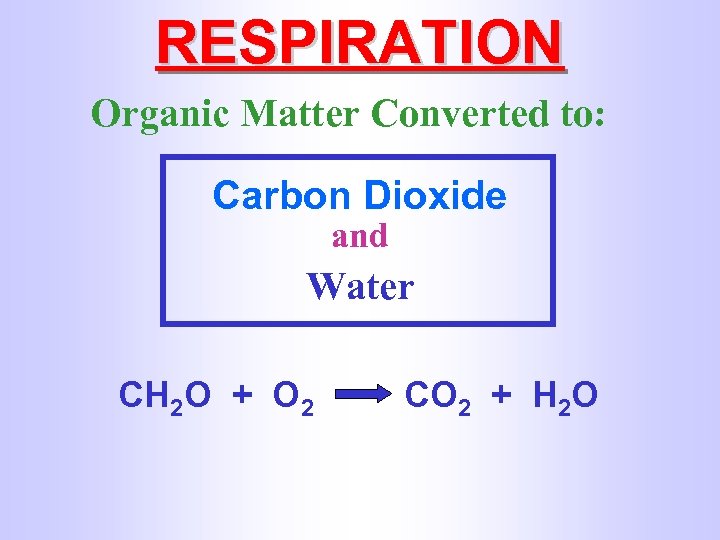 RESPIRATION Organic Matter Converted to: Carbon Dioxide and Water CH 2 O + O