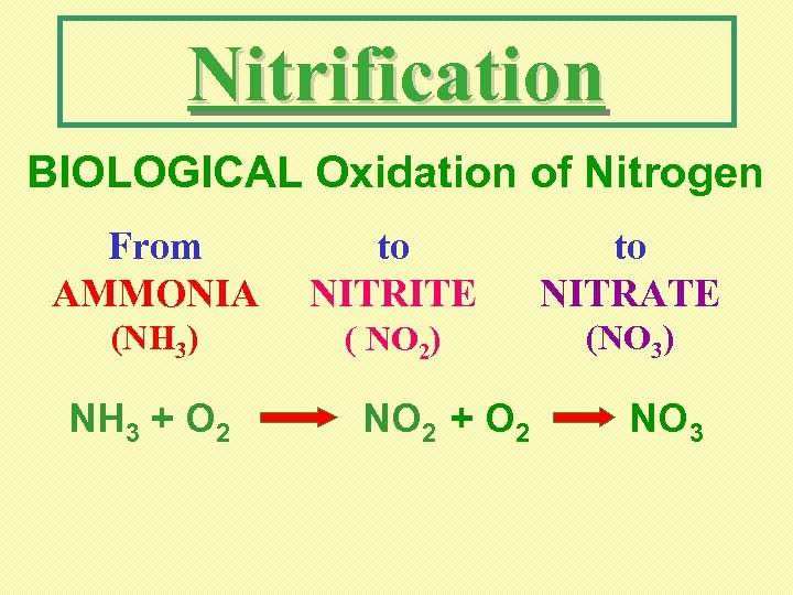 Nitrification BIOLOGICAL Oxidation of Nitrogen From AMMONIA to NITRITE to NITRATE (NH 3) (