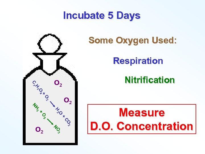 Incubate 5 Days Some Oxygen Used: Respiration + Oz HY Cx Nitrification O 2