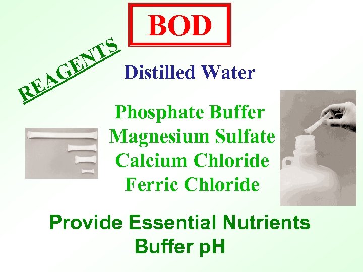 S NT E RE G A BOD Distilled Water Phosphate Buffer Magnesium Sulfate Calcium