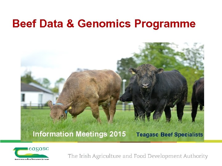 Beef Data & Genomics Programme Information Meetings 2015 Teagasc Beef Specialists 