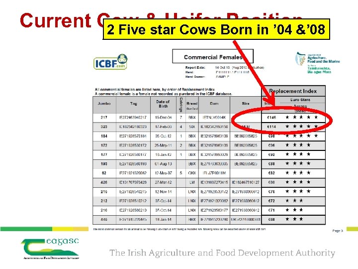 Current Cow & Heifer. Born in ’ 04 &’ 08 Position 2 Five star