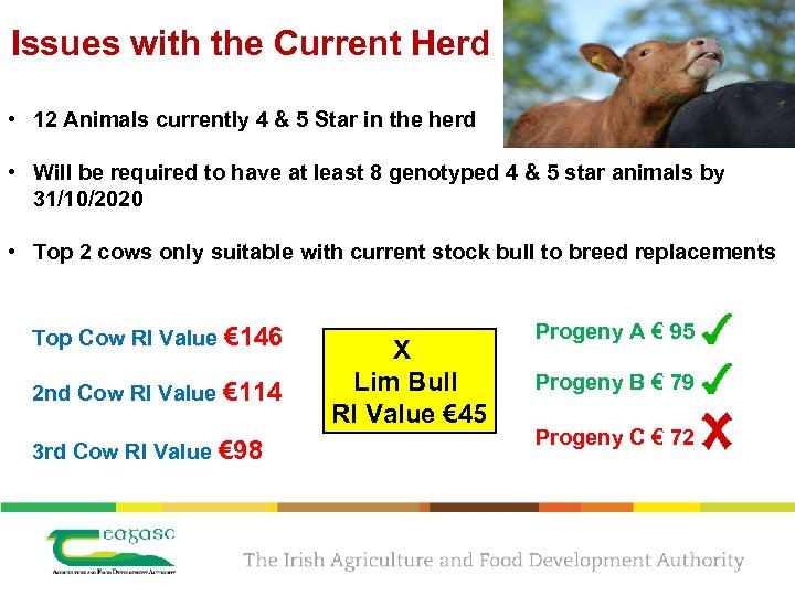 Issues with the Current Herd • 12 Animals currently 4 & 5 Star in