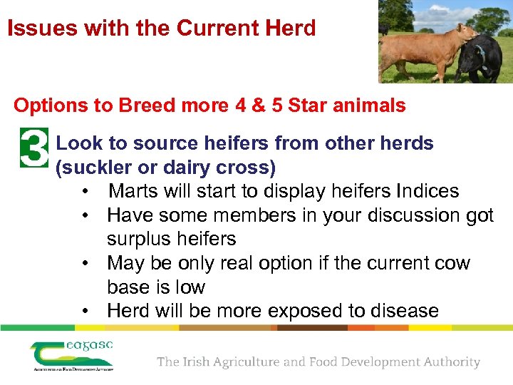 Issues with the Current Herd Options to Breed more 4 & 5 Star animals