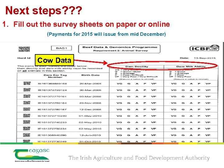 Next steps? ? ? 1. Fill out the survey sheets on paper or online