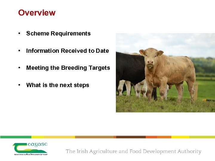 Overview • Scheme Requirements • Information Received to Date • Meeting the Breeding Targets