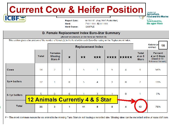 Current Cow & Heifer Position 12 Animals Currently 4 & 5 Star 