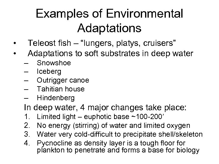 Examples of Environmental Adaptations • • Teleost fish – “lungers, platys, cruisers” Adaptations to
