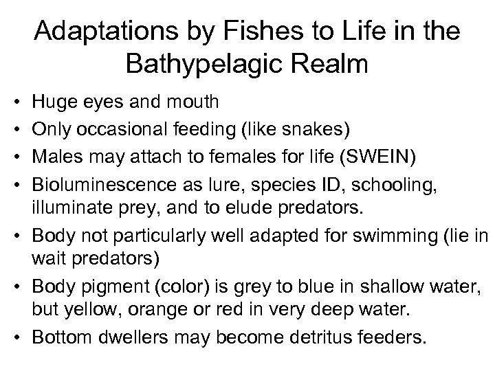 Adaptations by Fishes to Life in the Bathypelagic Realm • • Huge eyes and