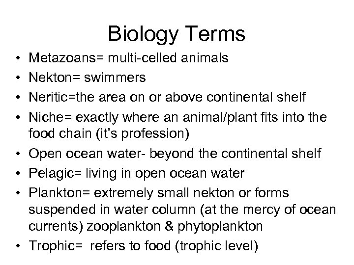 Biology Terms • • Metazoans= multi-celled animals Nekton= swimmers Neritic=the area on or above