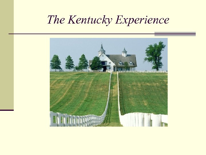 The Kentucky Experience 