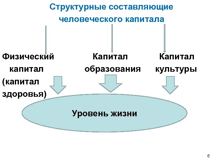 Структурные составляющие человеческого капитала Физический Капитал капитал образования культуры (капитал здоровья) Уровень жизни 6