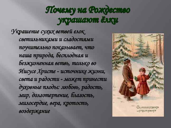 Почему на Рождество украшают ёлки Украшение сухих ветвей елок светильниками и сладостями поучительно показывает,