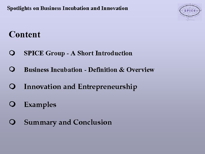 Spotlights on Business Incubation and Innovation Content SPICE Group - A Short Introduction Business