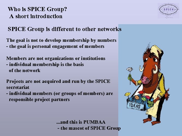 Who is SPICE Group? A short introduction SPICE Group is different to other networks
