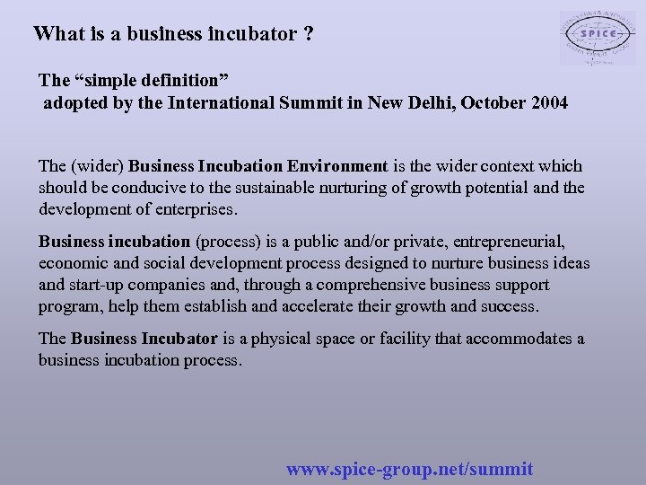 What is a business incubator ? The “simple definition” adopted by the International Summit
