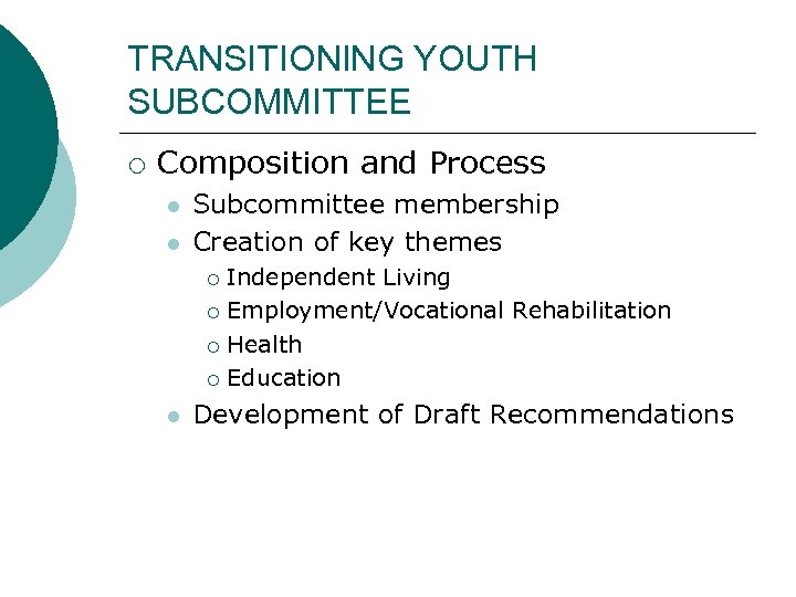 TRANSITIONING YOUTH SUBCOMMITTEE ¡ Composition and Process l l Subcommittee membership Creation of key