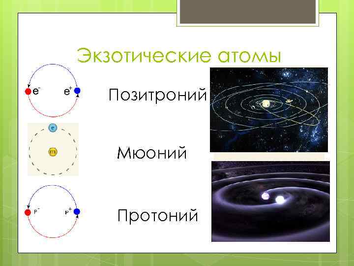 Экзотические атомы Позитроний Мюоний Протоний 