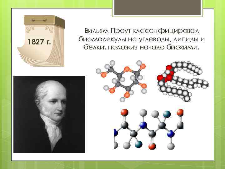 1827 г. Вильям Проут классифицировал биомолекулы на углеводы, липиды и белки, положив начало биохими.