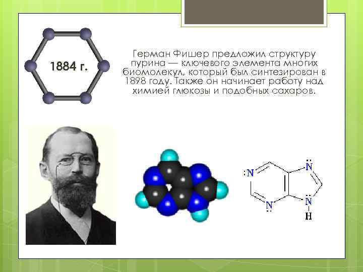 1884 г. Герман Фишер предложил структуру пурина — ключевого элемента многих биомолекул, который был