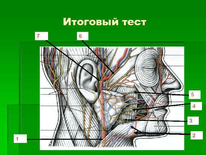 Итоговый тест 7 6 5 4 3 1 2 