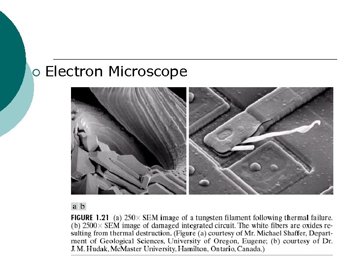 ¡ Electron Microscope 
