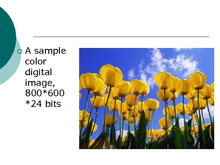 ¡ A sample color digital image, 800*600 *24 bits 