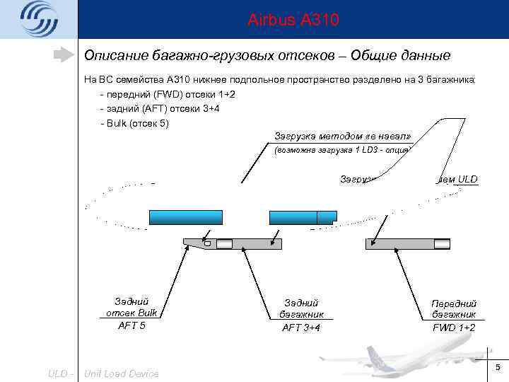 Airbus A 310 Описание багажно-грузовых отсеков – Общие данные На ВС семейства A 310