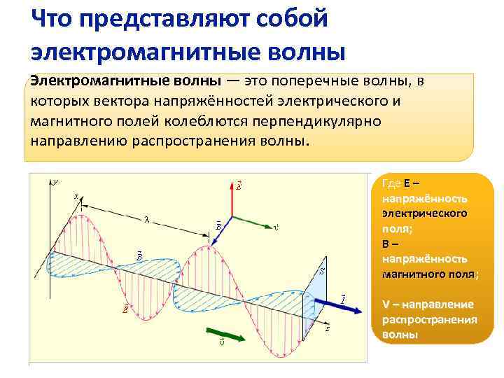 Что представляют собой электромагнитные волны Электромагнитные волны — это поперечные волны, в которых вектора