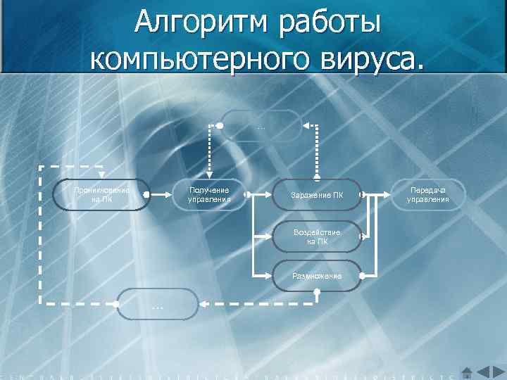 Алгоритм компьютера. Алгоритмы работы вирусов. Схема работы компьютерных вирусов. Алгоритмы поведения вирусов компьютерный. Схема работы вируса.