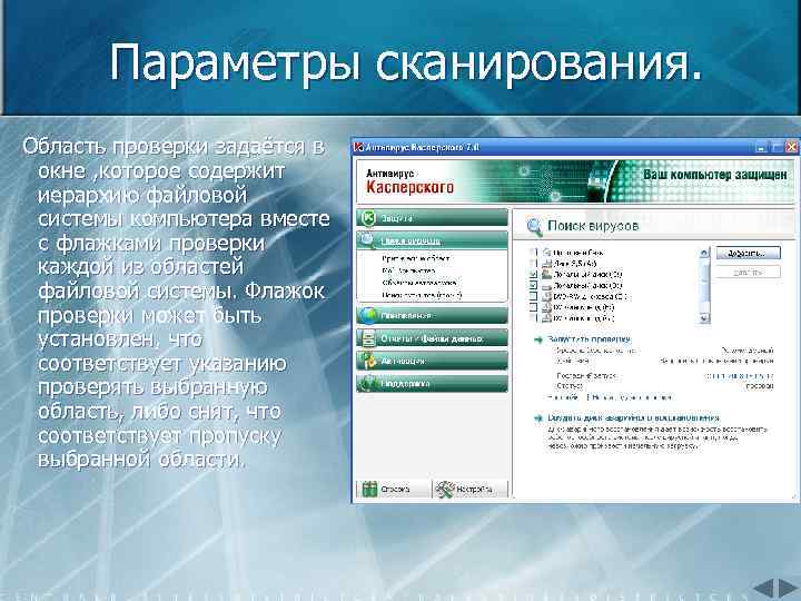 Параметры сканирования. Область проверки задаётся в окне , которое содержит иерархию файловой системы компьютера