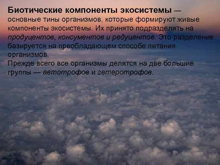 Биотические компоненты экосистемы — основные тины организмов, которые формируют живые компоненты экосистемы. Их принято