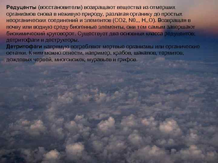 Редуценты (восстановители) возвращают вещества из отмерших организмов снова в неживую природу, разлагая органику до