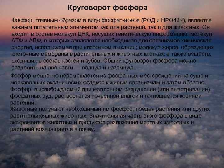 Круговорот фосфора Фосфор, главным образом в виде фосфат ионов (РОД и НРО 42~), является