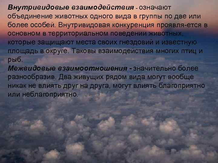 Внутривидовые взаимодействия - означают объединение животных одного вида в группы по две или более