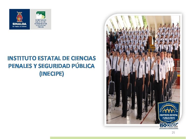 INSTITUTO ESTATAL DE CIENCIAS PENALES Y SEGURIDAD PÚBLICA (INECIPE) 25 
