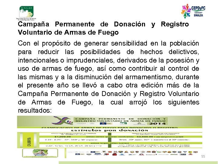 Campaña Permanente de Donación y Registro Voluntario de Armas de Fuego Con el propósito