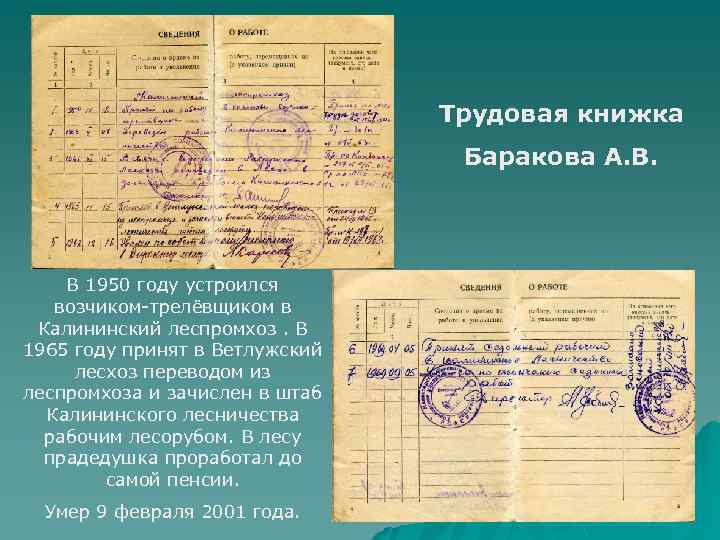 Трудовая книжка Баракова А. В. В 1950 году устроился возчиком-трелёвщиком в Калининский леспромхоз. В