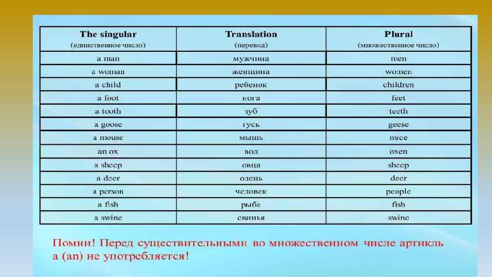 Волосы это множественное число или единственное