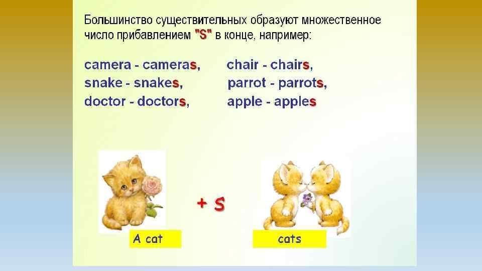 Презентация английский множественное число существительных 2 класс презентация