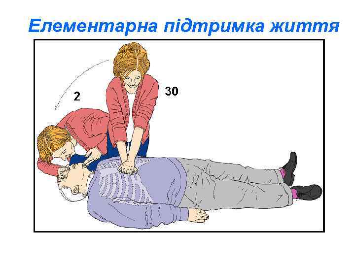 Елементарна підтримка життя 