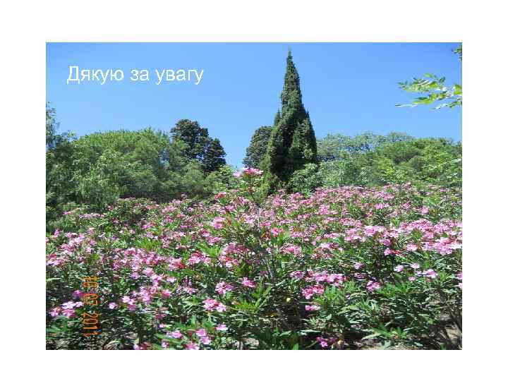 Дякую за увагу 