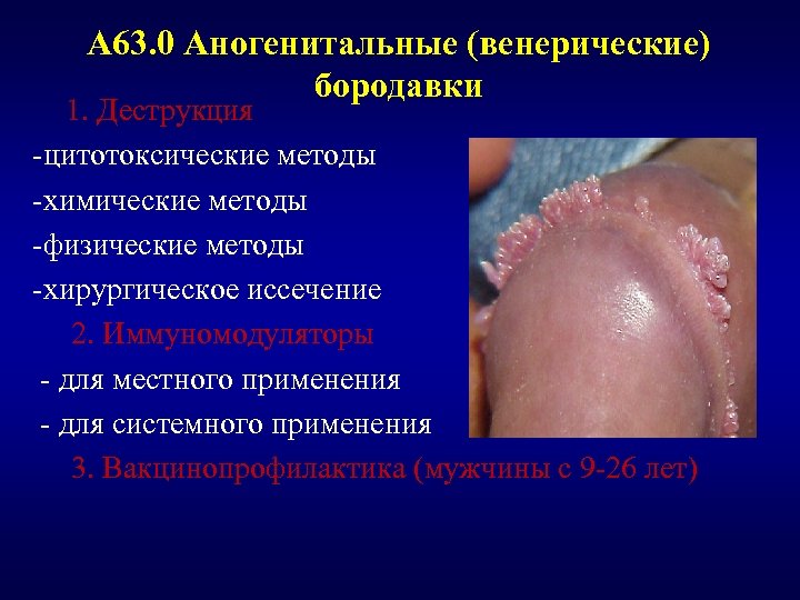 А 63. 0 Аногенитальные (венерические) бородавки 1. Деструкция -цитотоксические методы -химические методы -физические методы