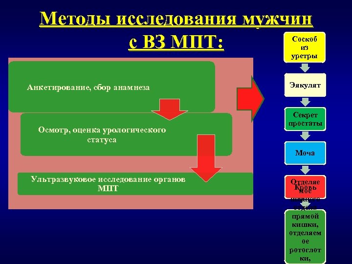 Методы исследования мужчин с ВЗ МПТ: Соскоб из уретры Анкетирование, сбор анамнеза Осмотр, оценка