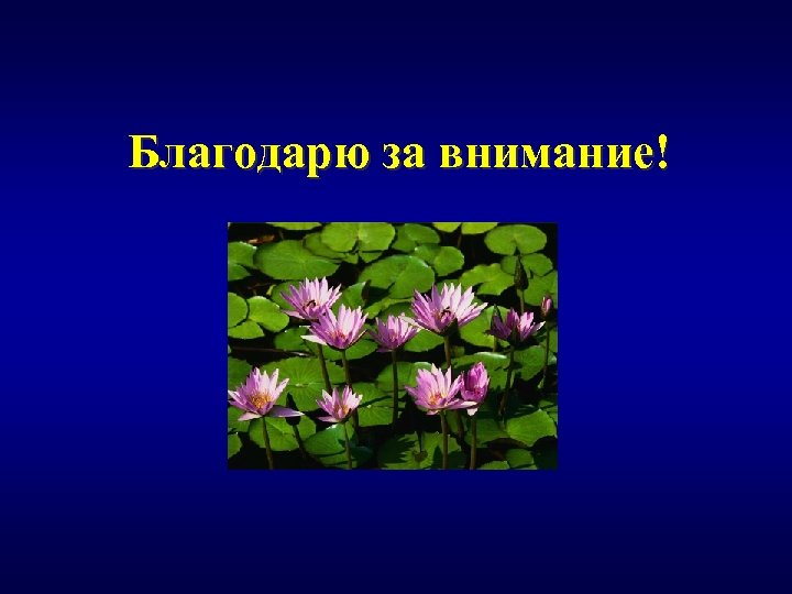 Благодарю за внимание! 