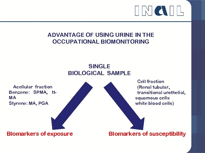 ADVANTAGE OF USING URINE IN THE OCCUPATIONAL BIOMONITORING SINGLE BIOLOGICAL SAMPLE Acellular fraction Benzene: