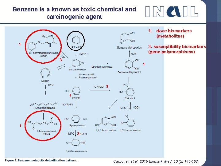 Benzene is a known as toxic chemical and carcinogenic agent 1. dose biomarkers (metabolites)