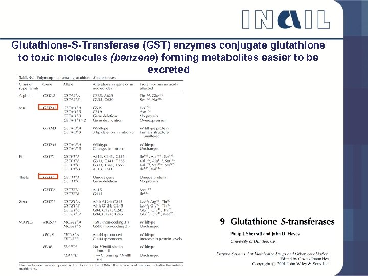 Glutathione-S-Transferase (GST) enzymes conjugate glutathione to toxic molecules (benzene) forming metabolites easier to be