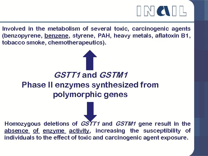 Involved in the metabolism of several toxic, carcinogenic agents (benzopyrene, benzene, styrene, PAH, heavy
