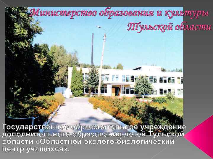 Министерство образования и культуры Тульской области Государственное образовательное учреждение дополнительного образования детей Тульской области